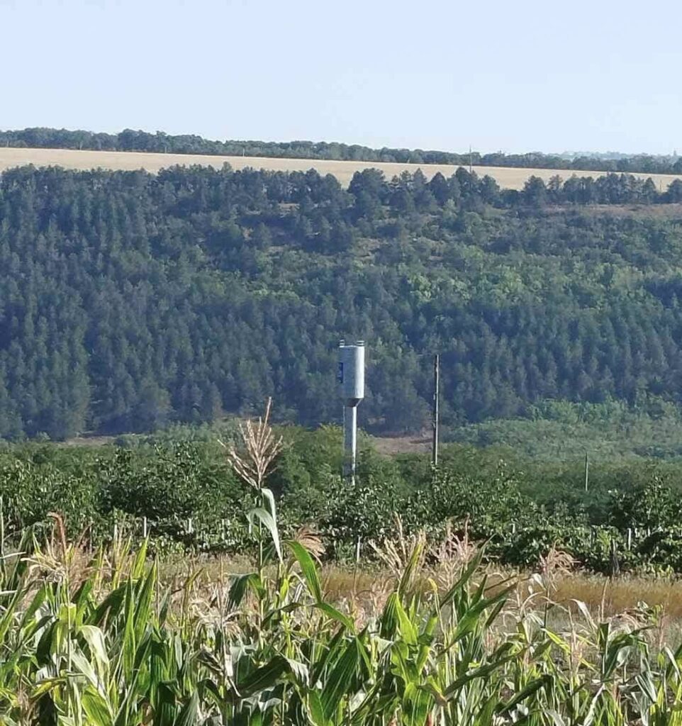 Tarasova